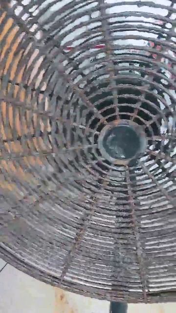 ФЕН ИЛИ ЛЮТЫЙ ВЕНТИЛЯТОР 😁 смотреть онлайн