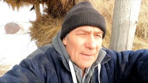 Поставил веса сколько на 1 быка даю дроблёнки. Немного