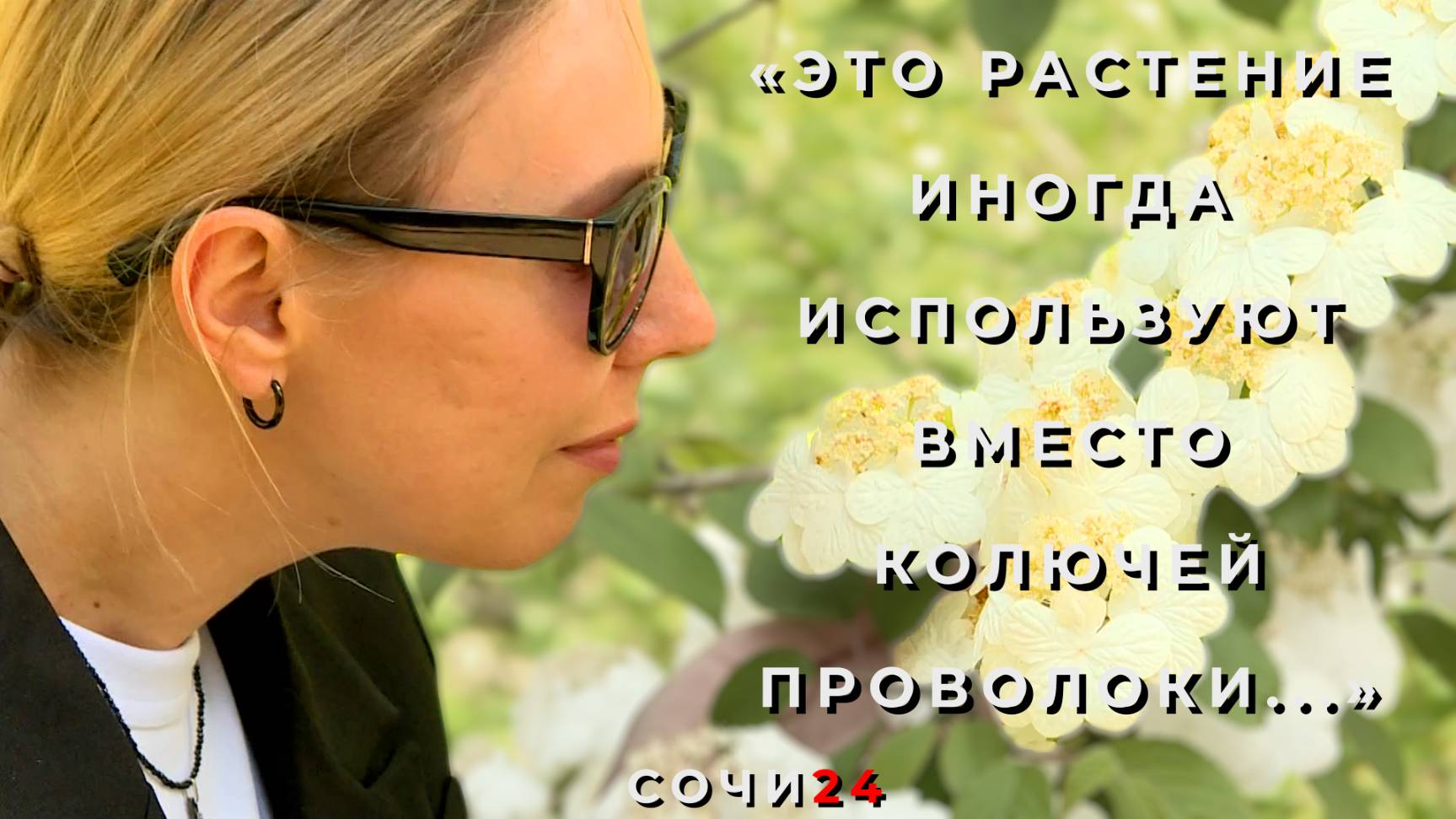 ПИК ЦВЕТЕНИЯ ВОСТОЧНЫХ ЭКЗОТОВ, ЧЕМ ОНИ ИНТЕРЕСНЫ ТУРИСТАМ?