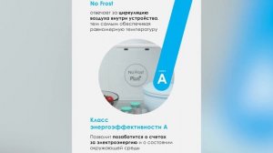 Холодильник Candy CCRN 6180 W