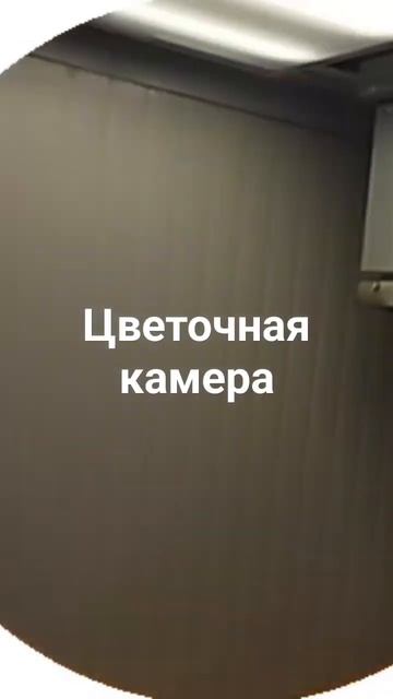 Демонтаж камеры для цветов. #цветы #холодильник 👆✌️? смотреть онлайн