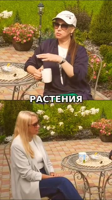 Что происходит в питомнике гортензий #цветы #флористи? смотреть онлайн