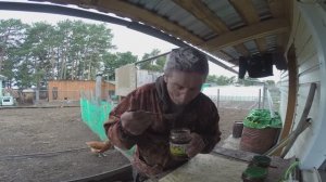 «Дикая утка в автоклаве. Часть вторая» — результат.