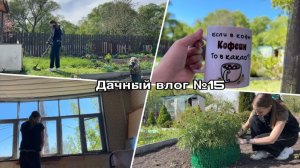 Дачный влог №15 🍓 Докосила весь участок | Обзор моих растений