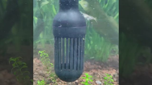 Внешний фильтр для аквариума SunSun 702, 703, 704 смотреть онлайн