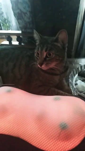 Тестируем массажёр 💗 смотреть онлайн