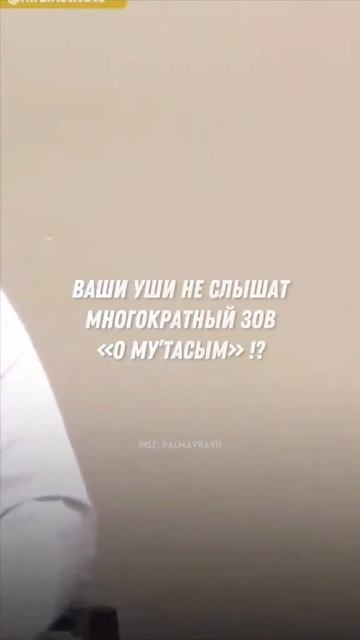 Бросили Палестину как бросили братья Пророка Юсуфа в ? смотреть онлайн