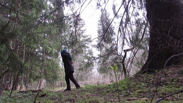 20.04.2020. Единство. Росток Натараджи. смотреть онлайн