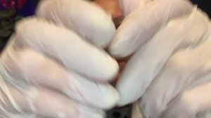 АСМР Массаж Лица в перчатках и с маслом Алоэ Вера. Шёпо