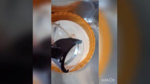 Как и чем  отмыть чайник Гунфу