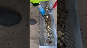 Чистка пляжа - инструмент для гриля