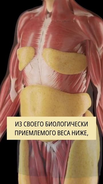 Почему после Диеьы люди Набирают Вес еще больше? смотреть онлайн