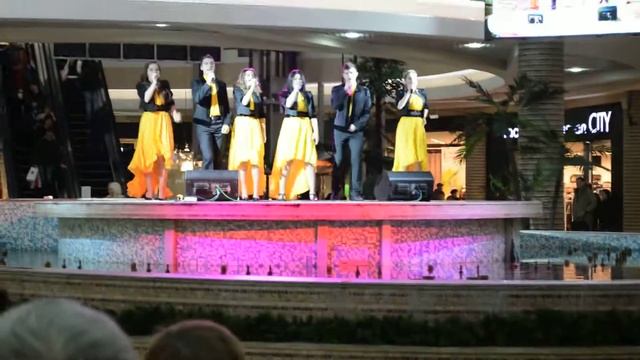 Шоу-группа "Стрекоза"