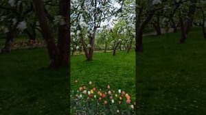 Весной в Парке