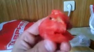 Прикол помидор