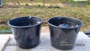 Как подкислить грунт для голубики и не нанести вреда. ?