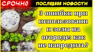 3 ошибки при использовании золы на огороде: как не навредить растениям и почве