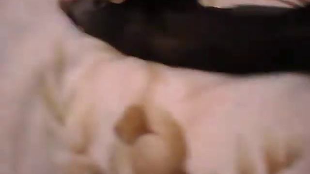 хорек прикол всем смотреть