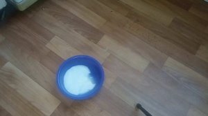 Как отмыть дверцы в холодильники снаружи от грязи