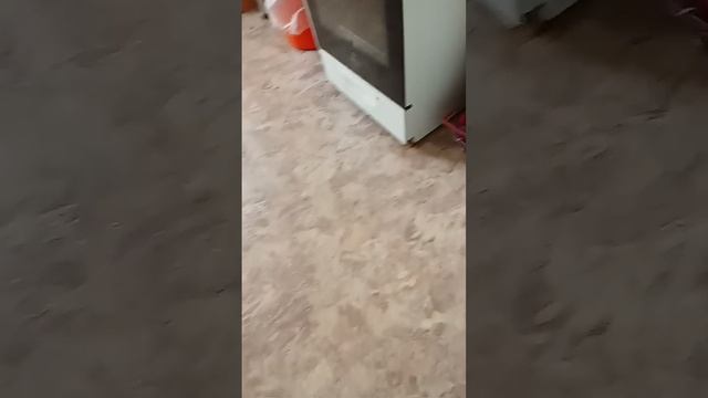 Посудомоечная машина и Стиральная машинка? смотреть онлайн