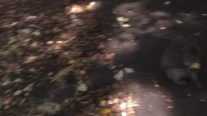 Хорошо смотримся?