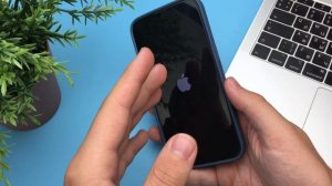 Что делать если не работает мобильная сеть на iPhone? Нет