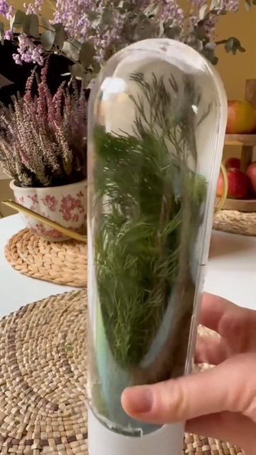 Лайфхак для хранения зелени в холодильнике❤️ #лайфха смотреть онлайн