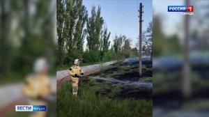 ВЕСТИ КРЫМ: выпуск 12.05.2025 11:30