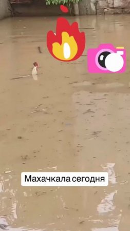 Его ни чем не напугать.