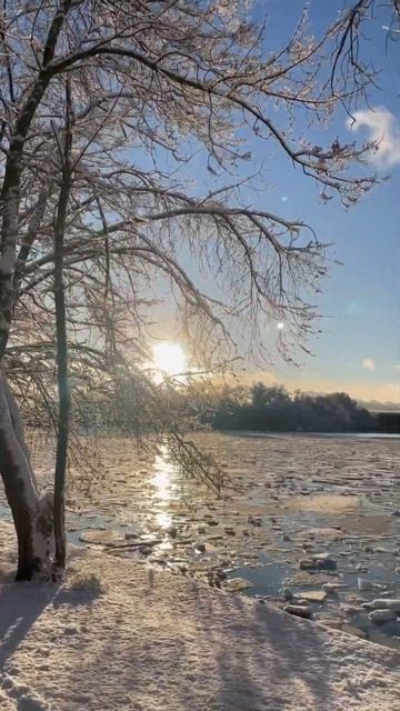 Погода сегодня подарок небес ❄️ 31 декабря 2024 года #мо? смотреть онлайн