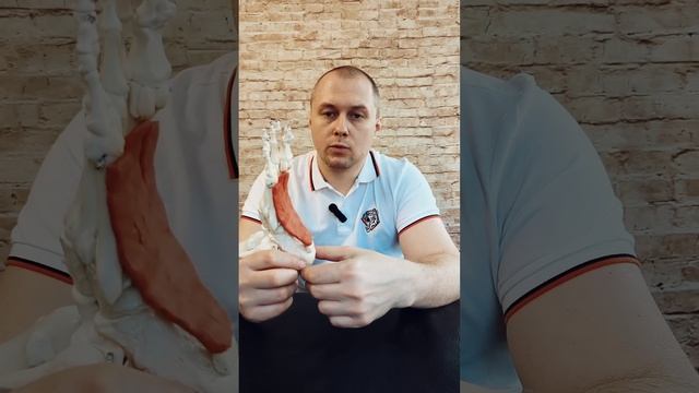 ПЯТОЧНАЯ ШПОРА        #больвстопе, #подошвенныйфасциит, #?