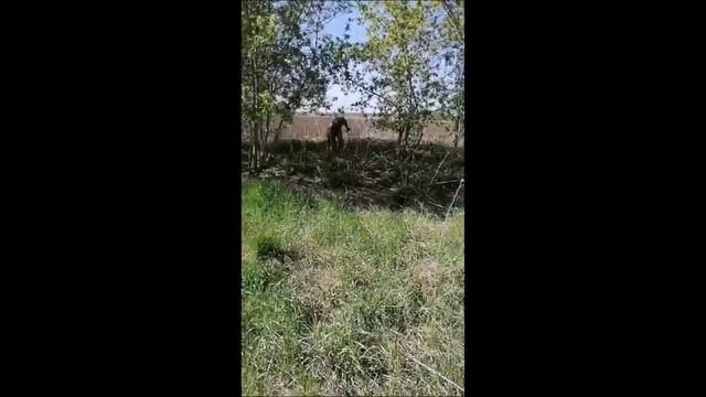 Коп как он есть 19 мая 2023 года смотреть онлайн