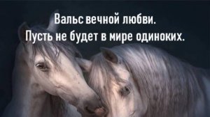 Вальс вечной любви. Пусть не будет одиноких сердец!