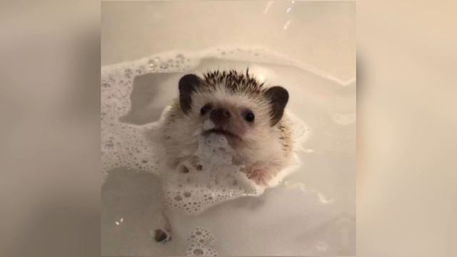 Алло - Егор Крид | speed up смотреть онлайн