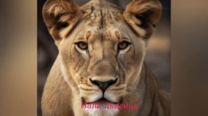 король лев 2 фильм