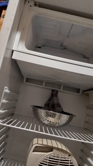 Разморозка холодильника без лужи смотреть онлайн