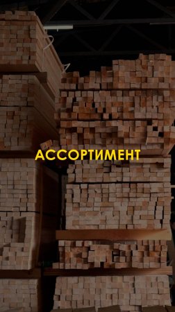 🌲 Пиломатериалы от «Альянс-Лес» — надежность и качество в каждом проекте!
