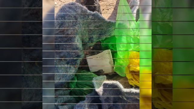 Скупка б/у автокатализаторов Chakman mikser Uzbekiston buylab olamiz b/u. смотреть онлайн