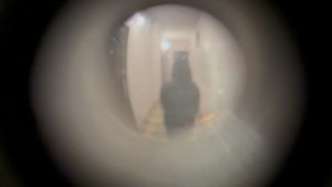 кто то стучится к нам ночью 😱