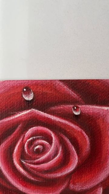 Нарисовала новые магниты для холодильника! 🌹#shorts #art #? смотреть онлайн