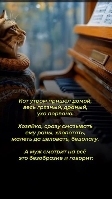 Мужчины, камень в ваш огород😀 #прокошек смотреть онлайн