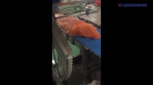 Нарезка мяса/рыбы слайсом под углом, Leaddenmar Slicer Fresh L250 | ?