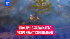 Пожары в Забайкалье могут устраивать специально. Огонь уничтожил Муравьевский парк