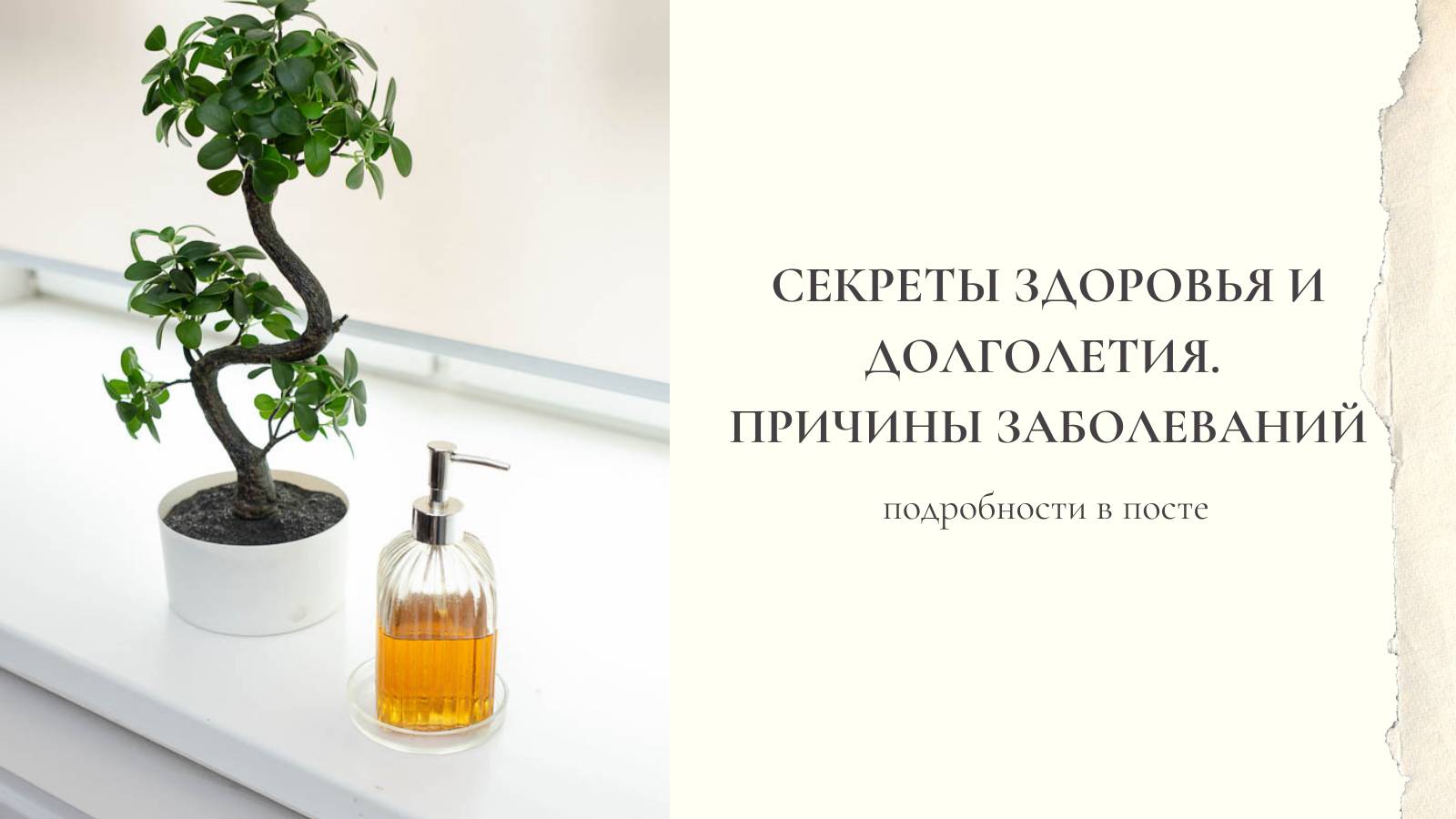 Секреты здоровья и долголетия. Как убрать причину заболевания