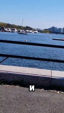 «Страхование ответственности судов: защита вашего бизнеса на воде»
