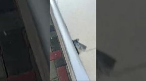 Бастрыкин просит проверить состояние памятника в кубанской станице.