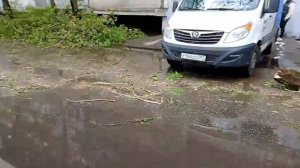 2 мая 2025 года, раздавленный деревом автомобиль в Москве!