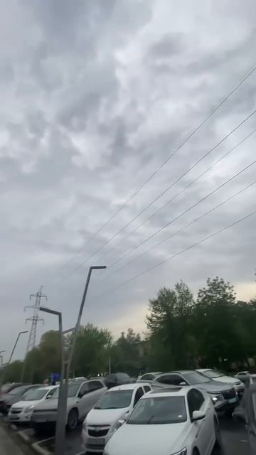 Дождь для Узбекистана-целое событие! #ташкент #узбекис смотреть онлайн