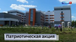 Кусты сирени высадили около Донецкого республиканского перинатального центра