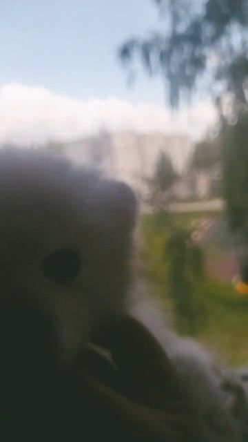 доброе утро и хорошего дня 😉 смотреть онлайн